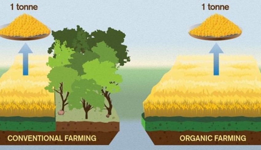Agricultura orgânica é pior para o planeta